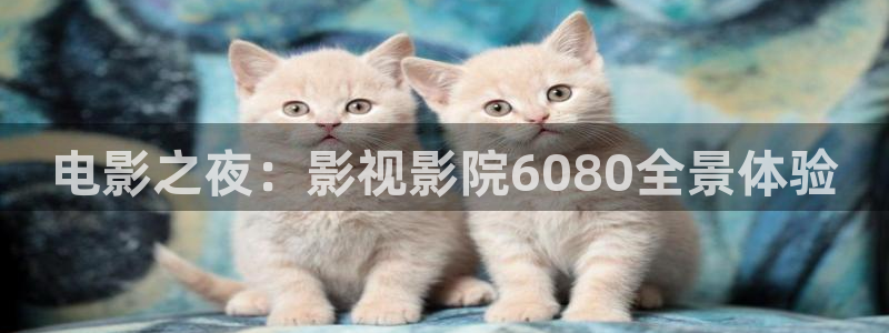 yy4480青苹果电影院：电影之夜：影视影院6080全景体验
