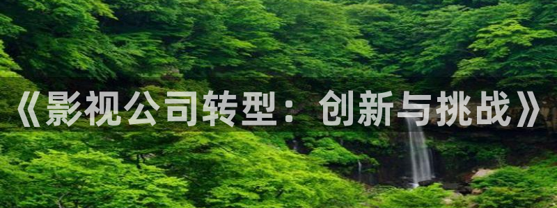 yy4480高清免费影院：《影视公司转型：创新与挑战》