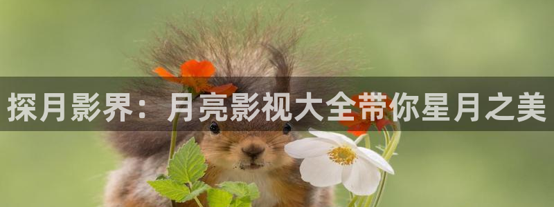 yy4480免费电影院青苹果免费电视剧：探月影界：月亮影视大全带你星月之美