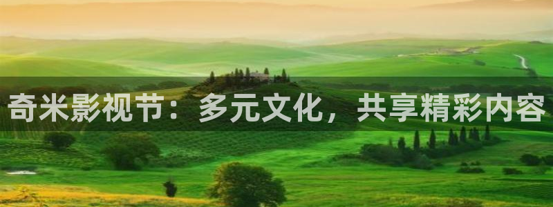 yy4480yy：奇米影视节：多元文化，共享精彩内容