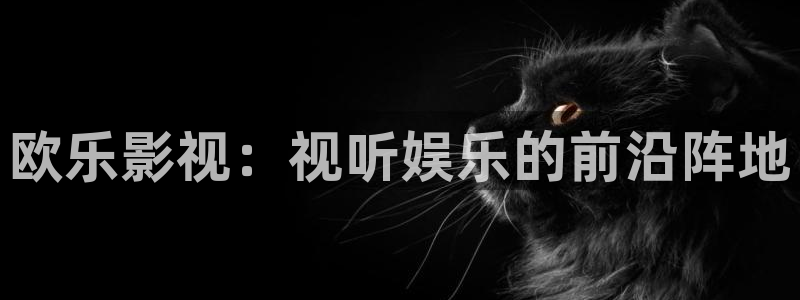 yy4480：欧乐影视：视听娱乐的前沿阵地