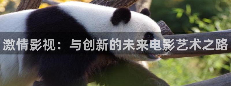 yy4480免费高清影视：激情影视：与创新的未来电影艺术之路