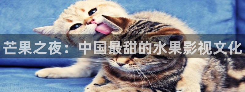 yyy4480：芒果之夜：中国最甜的水果影视文化