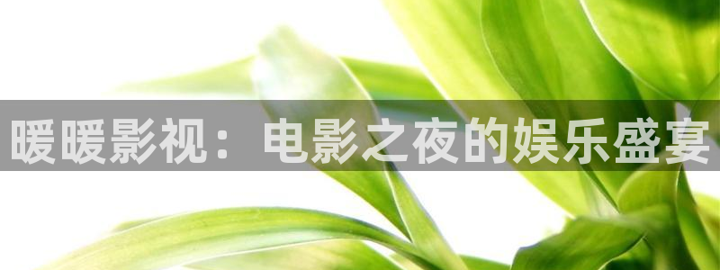 yy4480私人影院：暖暖影视：电影之夜的娱乐盛宴