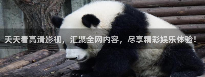 yy4480在线万达影院：天天看高清影视，汇聚全网内容，尽享精彩娱乐体验！