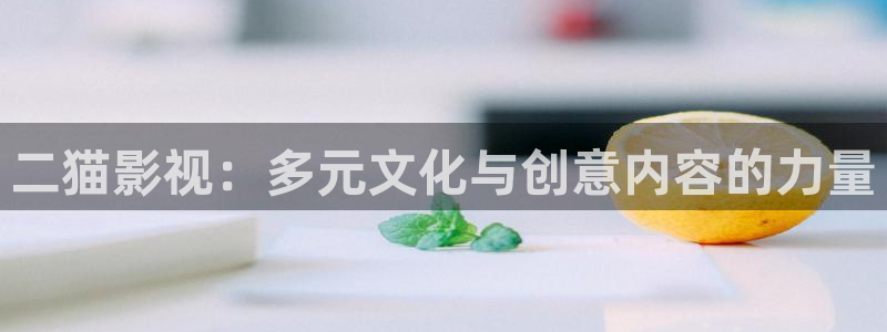 yy4480一级片：二猫影视：多元文化与创意内容的力量