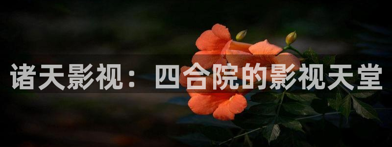 yy4480黄片：诸天影视：四合院的影视天堂